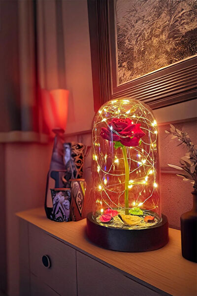 Celestia Home Gece Lambası