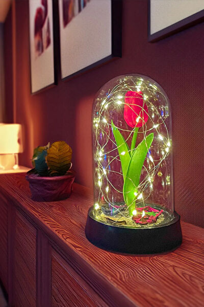 Celestia Home Gece Lambası