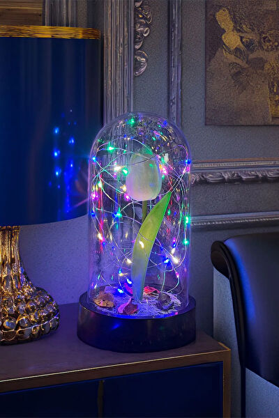 Celestia Home Gece Lambası