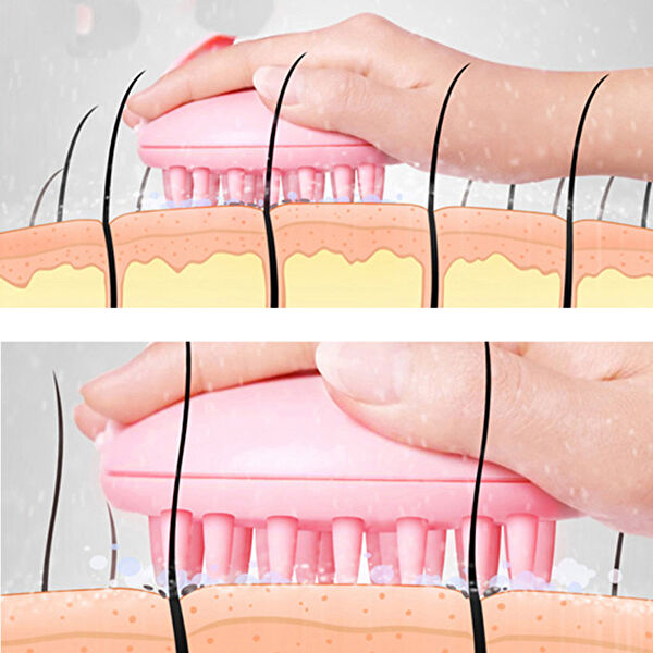 Periboia Tarak, Fırça