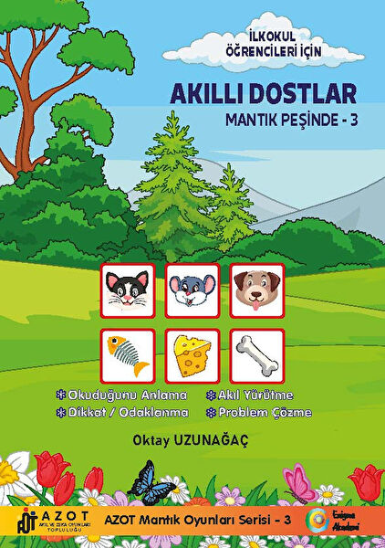 Enigma Akademi Aktivite ve Zeka Gelişim Kitapları