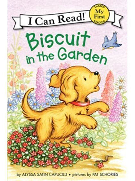 Collins Yayınları Çizgi Roman ve Mizah