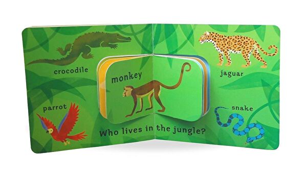 Walker Books Yabancı Dilde Kitaplar