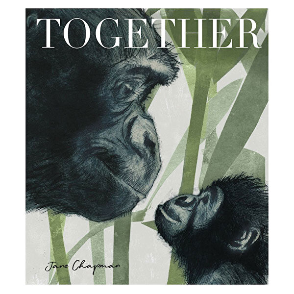 Little Tiger Yabancı Dilde Kitaplar