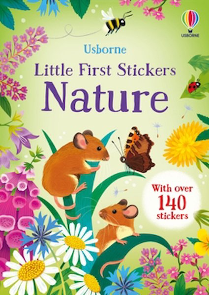 Usborne Aktivite ve Zeka Gelişim Kitapları