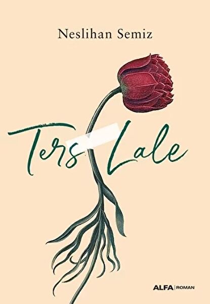 Alfa Yayınevi Roman