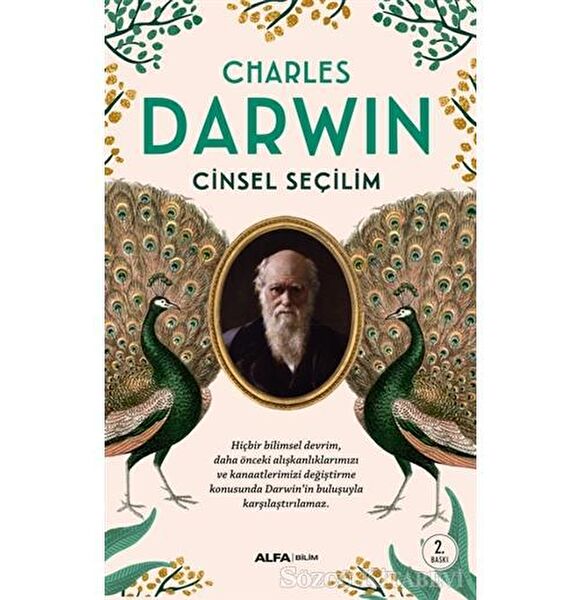 Alfa Yayınevi Felsefe