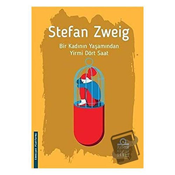 Platform Kültür Sanat Yayınları Roman