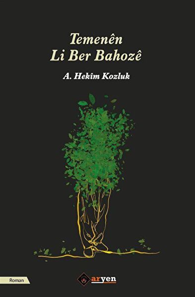 Aryen Yayınları Roman