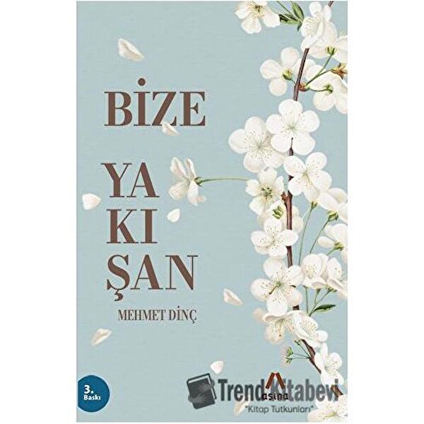 Aşina Yayınları Deneme, İnceleme