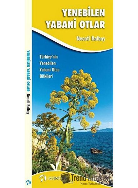 Avantür Kitap Turizm ve Gezi