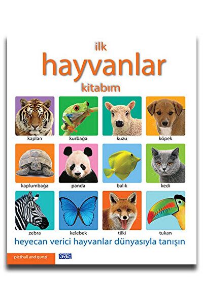 Parıltı Yayınları Aktivite ve Zeka Gelişim Kitapları