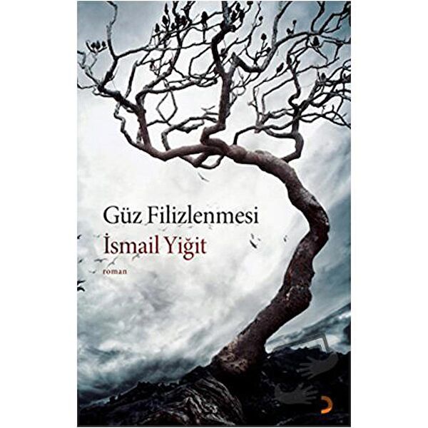 Cinius Yayınları Türk Edebiyatı