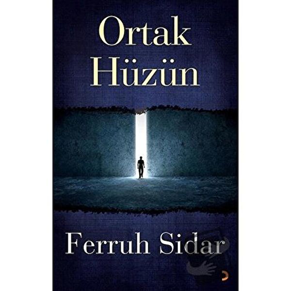 Cinius Yayınları Roman