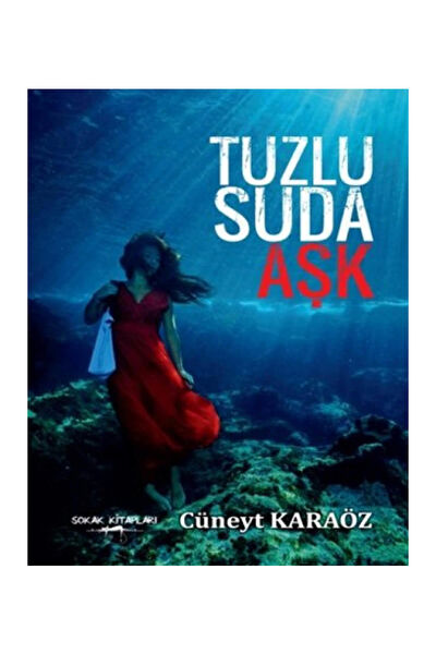 Sokak Kitapları Yayınları Roman