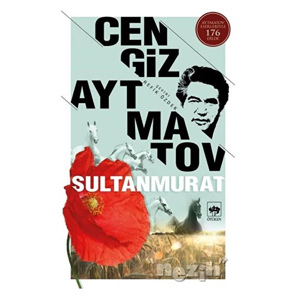 Ötüken Neşriyat Roman