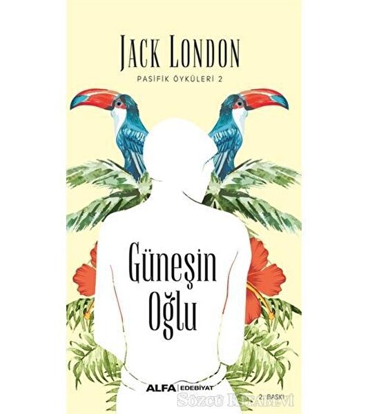 Alfa Yayınevi Roman