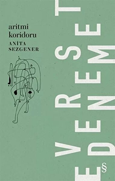 Everest Yayınları Deneme, İnceleme