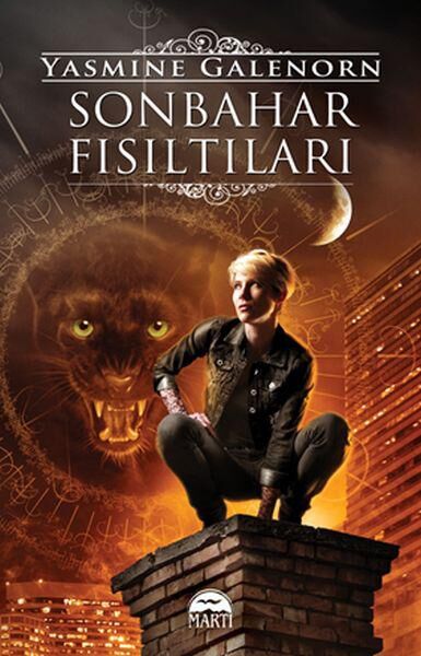 Martı Yayınları Roman