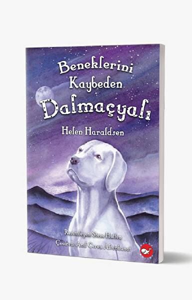 Beyaz Balina Yayınları Çocuk Roman ve Klasikleri