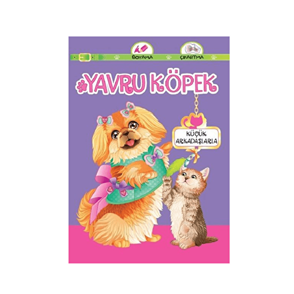 Koloni Çocuk Aktivite ve Zeka Gelişim Kitapları