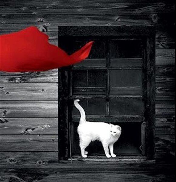 Doğu Kitabevi Roman