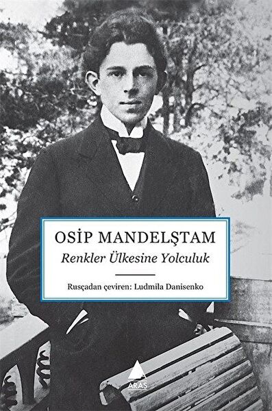 Aras Yayıncılık Roman