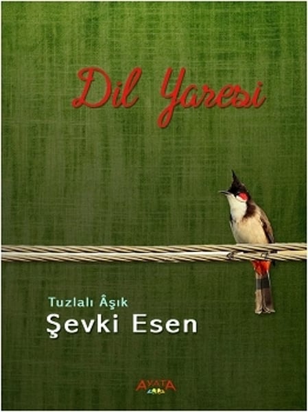 Altaylı Yayınları Şiir Kitapları