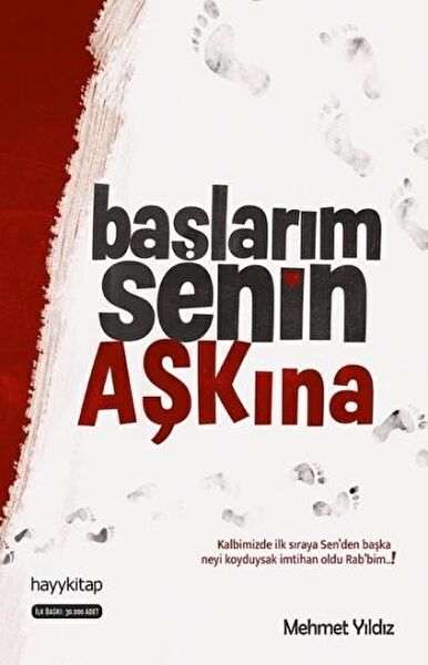 Hayykitap Deneme, İnceleme