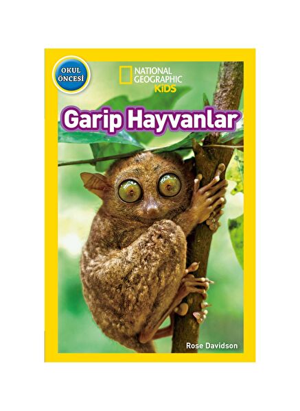 Beta Kitap Öykü