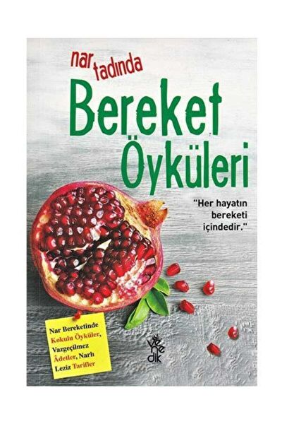 Venedik Yayınları Deneme, İnceleme