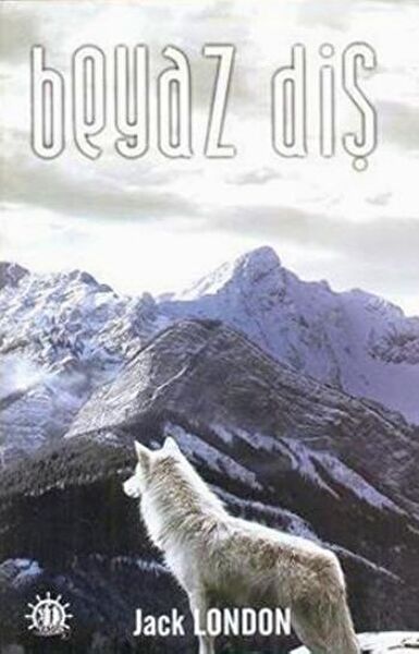 Dorlion Yayınları Roman