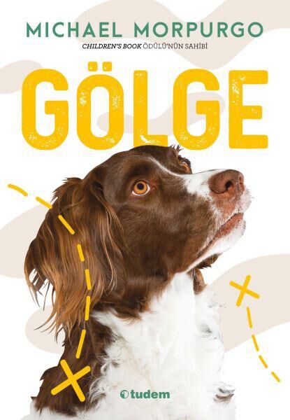 Tudem Yayınları Roman