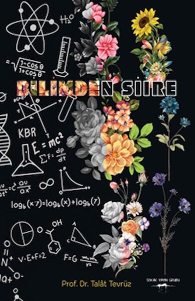 Sokak Kitapları Yayınları Şiir