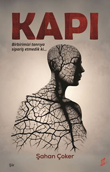 Okur Kitaplığı Şiir