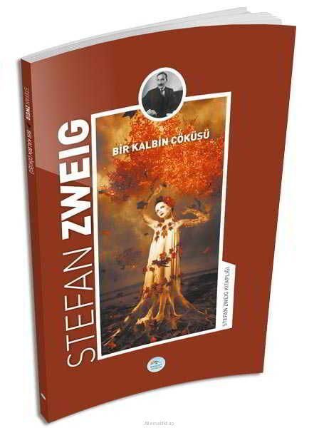 Maviçatı Yayınları Dünya Edebiyatı