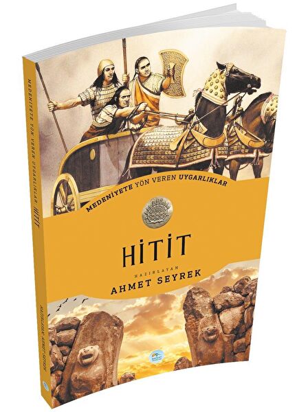 Maviçatı Yayınları Araştırma, Tarih