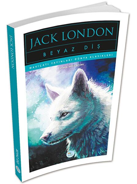 Maviçatı Yayınları Dünya Edebiyatı