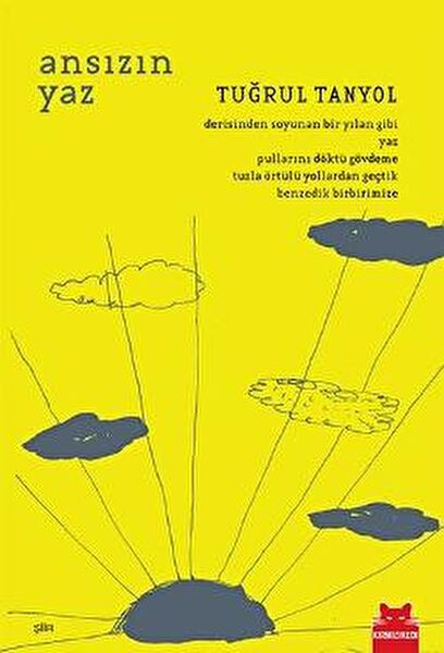 Kırmızı Kedi Yayınevi Şiir