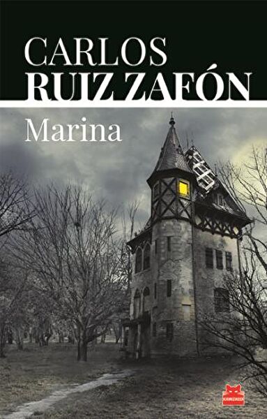 Kırmızı Kedi Yayınevi Roman