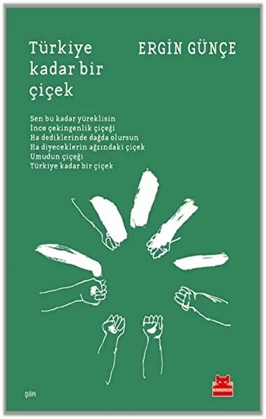 Kırmızı Kedi Yayınevi Şiir