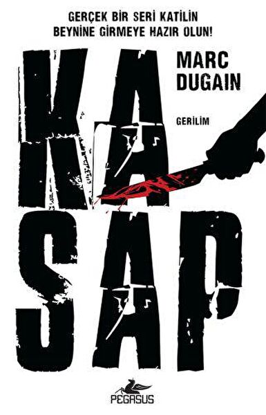 Pegasus Yayınları Roman