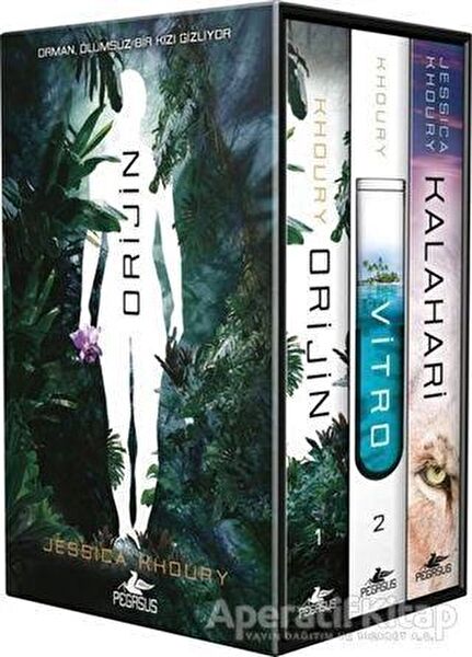 Pegasus Yayınları Roman