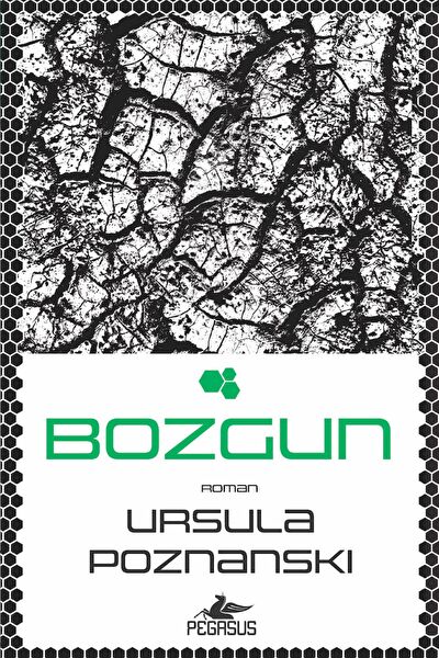 Pegasus Yayınları Roman