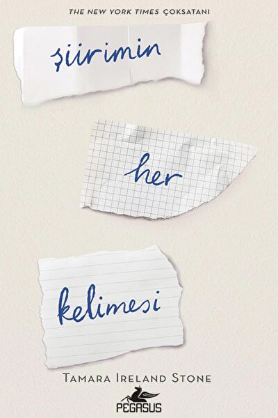 Pegasus Yayınları Roman