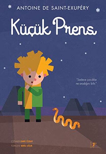 Artemis Yayınevi Roman