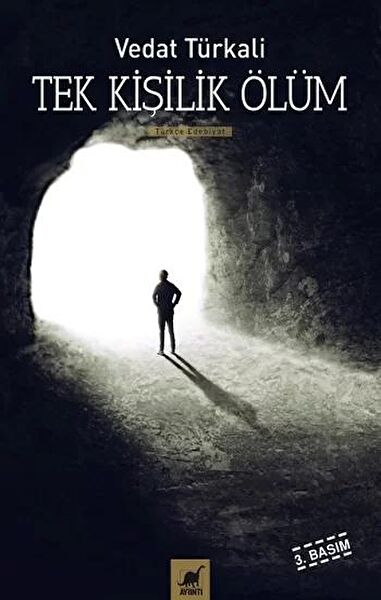 Ayrıntı Yayınevi Roman