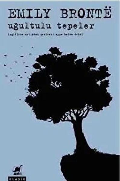 Ayrıntı Yayınevi Roman