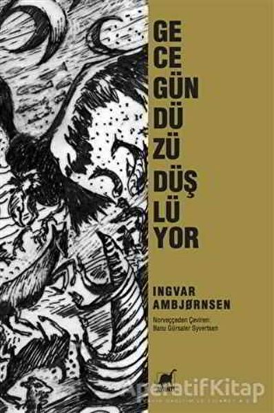 Ayrıntı Yayınevi Roman