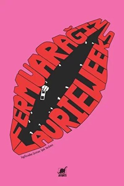 Ayrıntı Yayınevi Roman